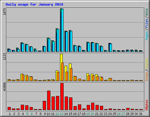 Daily usage for January 2019