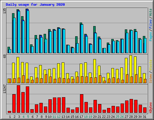 Daily usage for January 2020