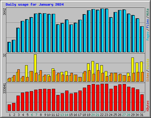 Daily usage for January 2024