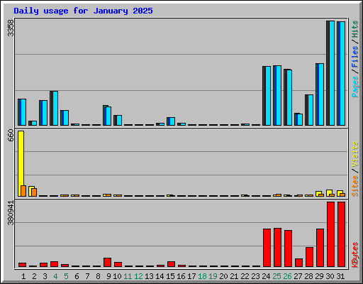 Daily usage for January 2025