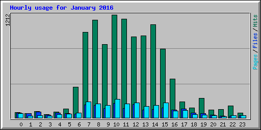 Hourly usage for January 2016