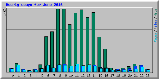 Hourly usage for June 2016