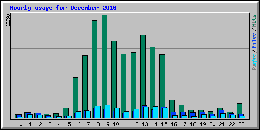 Hourly usage for December 2016