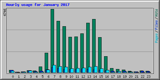 Hourly usage for January 2017