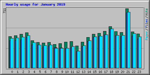 Hourly usage for January 2019