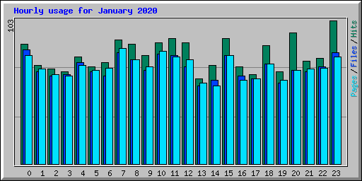 Hourly usage for January 2020