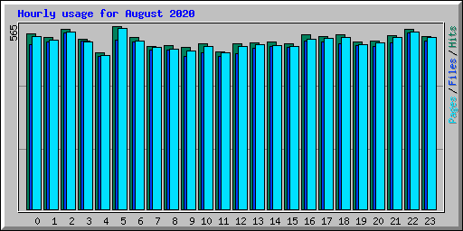 Hourly usage for August 2020