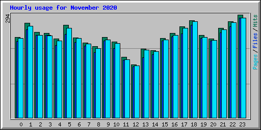 Hourly usage for November 2020