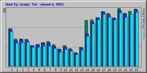 Hourly usage for January 2021