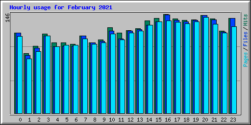Hourly usage for February 2021