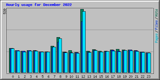 Hourly usage for December 2022