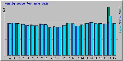 Hourly usage for June 2023