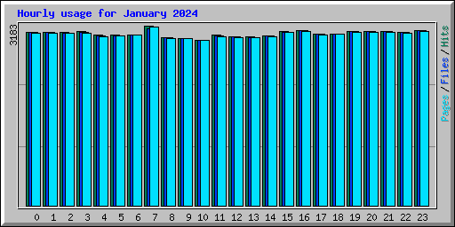 Hourly usage for January 2024