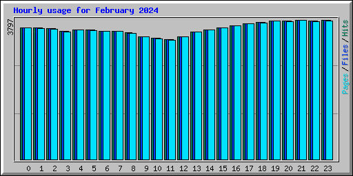 Hourly usage for February 2024