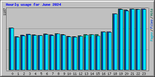 Hourly usage for June 2024