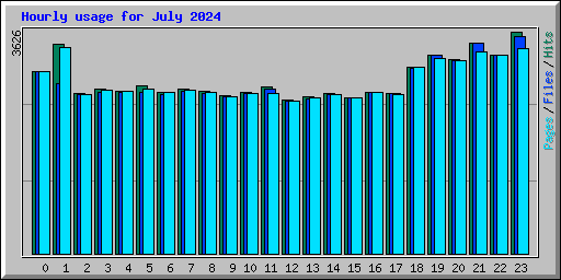 Hourly usage for July 2024