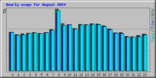 Hourly usage for August 2024