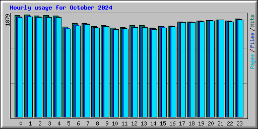 Hourly usage for October 2024
