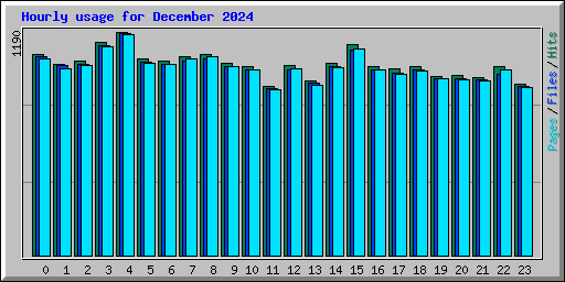 Hourly usage for December 2024