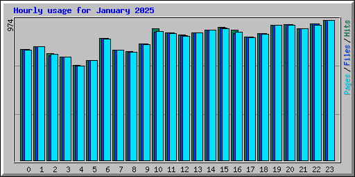 Hourly usage for January 2025