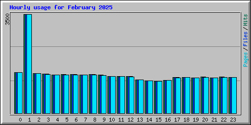 Hourly usage for February 2025