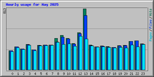 Hourly usage for May 2025