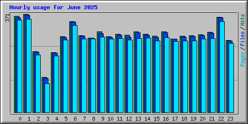 Hourly usage for June 2025
