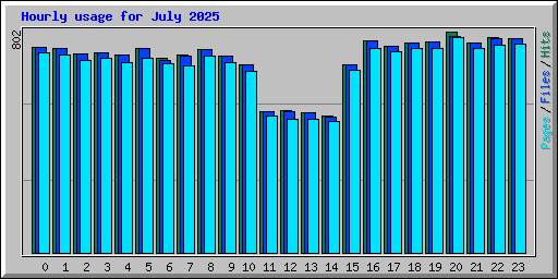 Hourly usage for July 2025