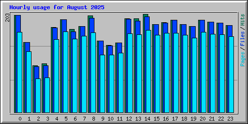 Hourly usage for August 2025